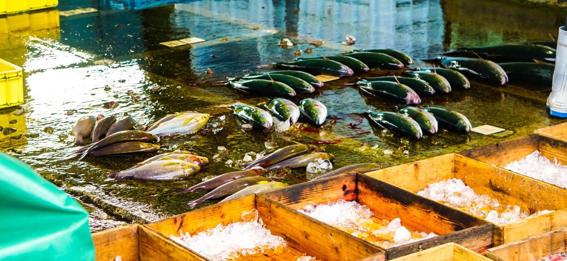 20231106_《東町漁協》 視察 (3)